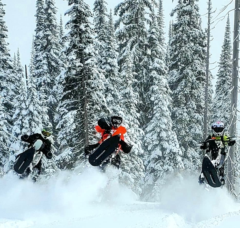 Timbersled tweet media