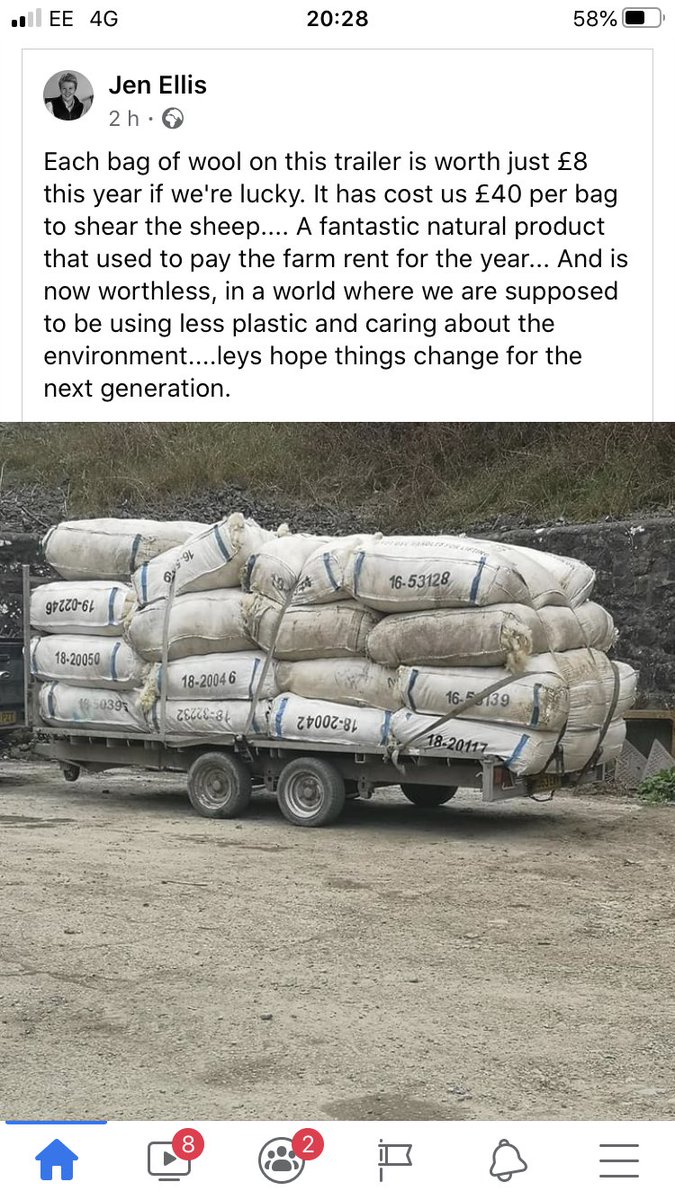 The sad reality of wool this year .