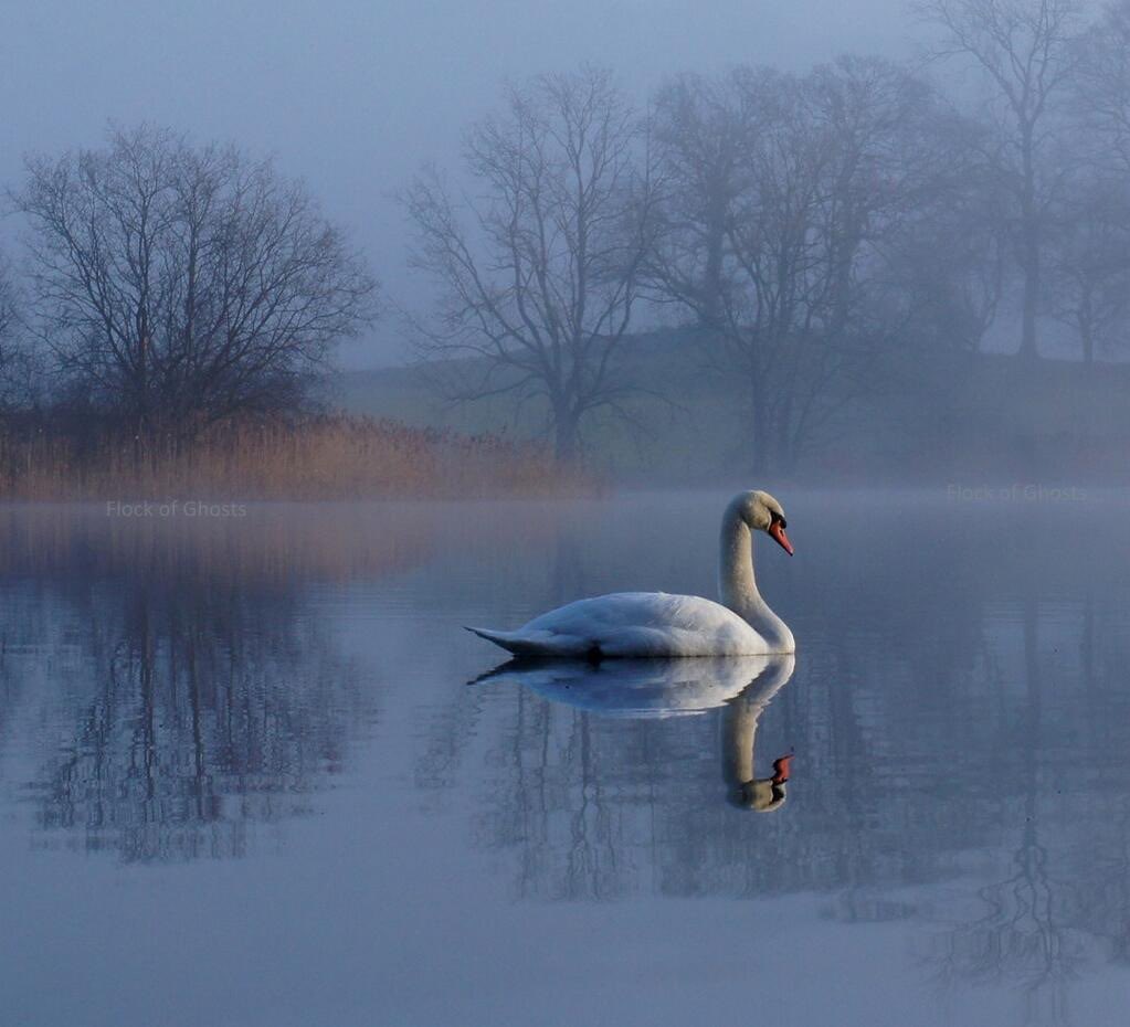 ‘The source of love is deep in us and we can help others realize a lot of happiness. One word, one action, one thought can reduce another person’s suffering and bring that person joy’ - Thich Nhat Hanh

Keep smiling folks 🥰