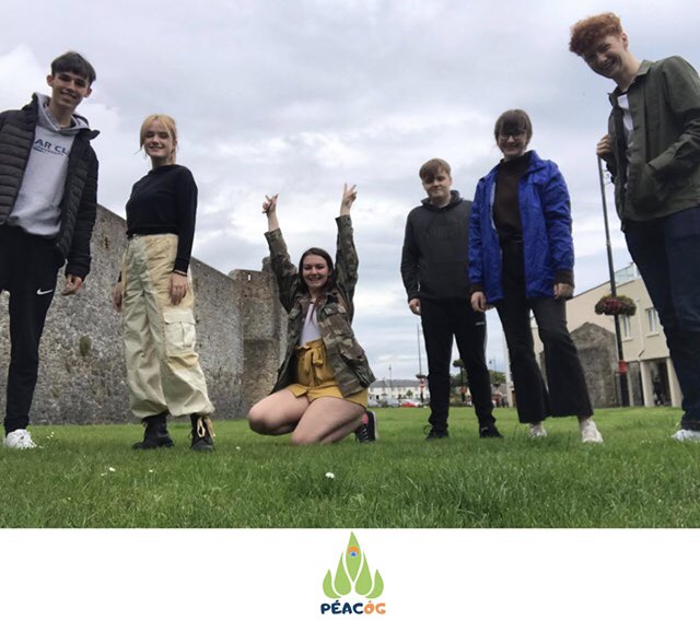 Our new committee had their first meeting today! 💚

Ag obair ar plean na féile i mbliana!

#gaeilge #creativeireland #arts #peacog #peacog2020