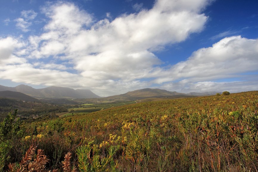 wilder_fields's tweet image. We are pioneers. We are Wilder.

#producepossibilities #hyperlocal #calumetcity
#verticalfarming #urbanfarming #agriculture #indoorfarming #indoorgrowing  #sustainability #carbonfootprint #ecofriendly #ecoconscience #supportlocal #eatlocal #localproduce #pesticidefree