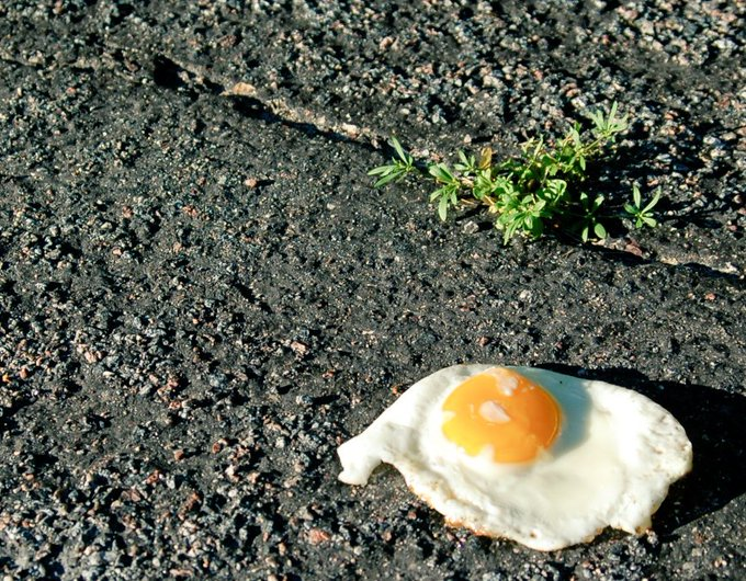 Beefste85303347's tweet photo. @jayme_jayme12 @jayme_jayme12
Me: it's too hot today
My Mom: "110° is not hot if the humidity is low. 
 *continues to cook breakfast...
#arizonasummer #MCO335 https://t.co/CMQJKV5Hsp