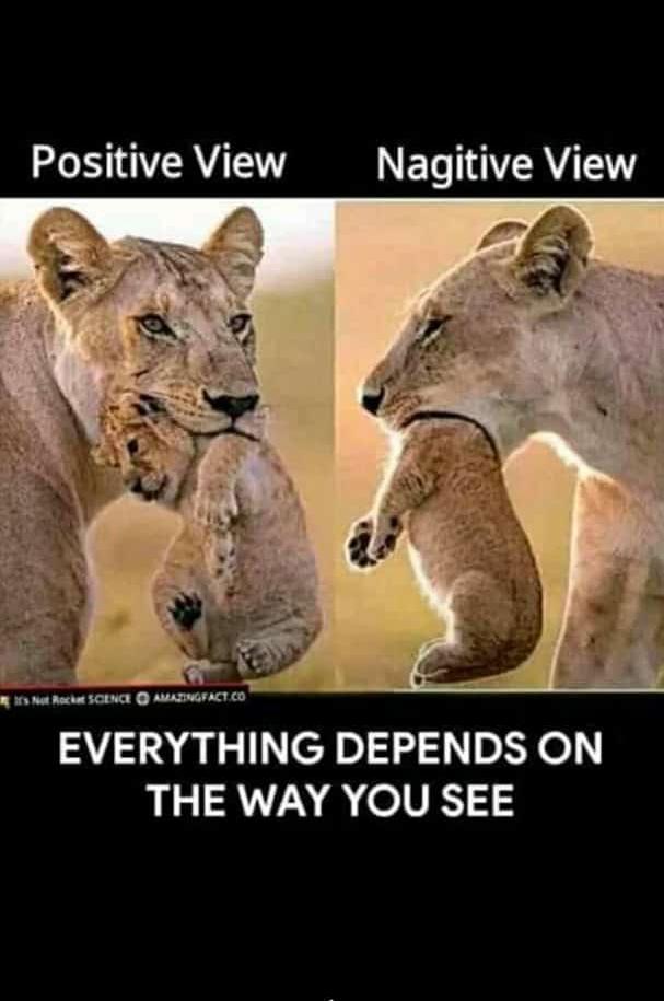 SAMUELISAIAHS's tweet photo. I saw positive what did you see? Come and see! And give me your feedback #MotivationalQuotes 😊😊#ONLINEPASTOR #SAMUELISAIAH #DONJEHOSAM https://t.co/n3WeSvOASe