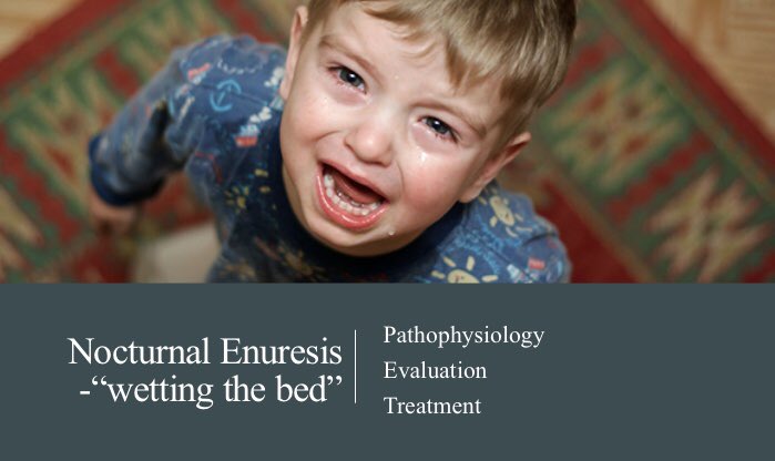 CreightonUro's tweet photo. Our Uro-4 Dr. Brennan Tesdahl gave a great lecture to our @Creighton PA students on LUTS dysfunction &amp; nocturnal eneuresis. Treatment of bowel dysfunction is key! https://t.co/JqVLSklJgY