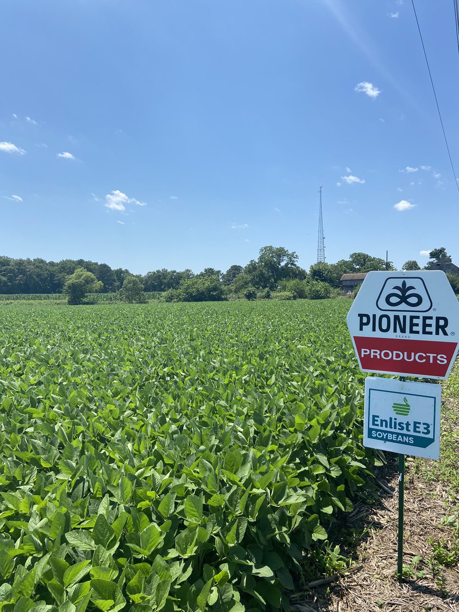 kphillips8psu's tweet photo. Oohh purdy 🤩👍 #PioneerSeeds #enlist @PioneerSeeds @EnlistOnline https://t.co/g1eNOFXg95