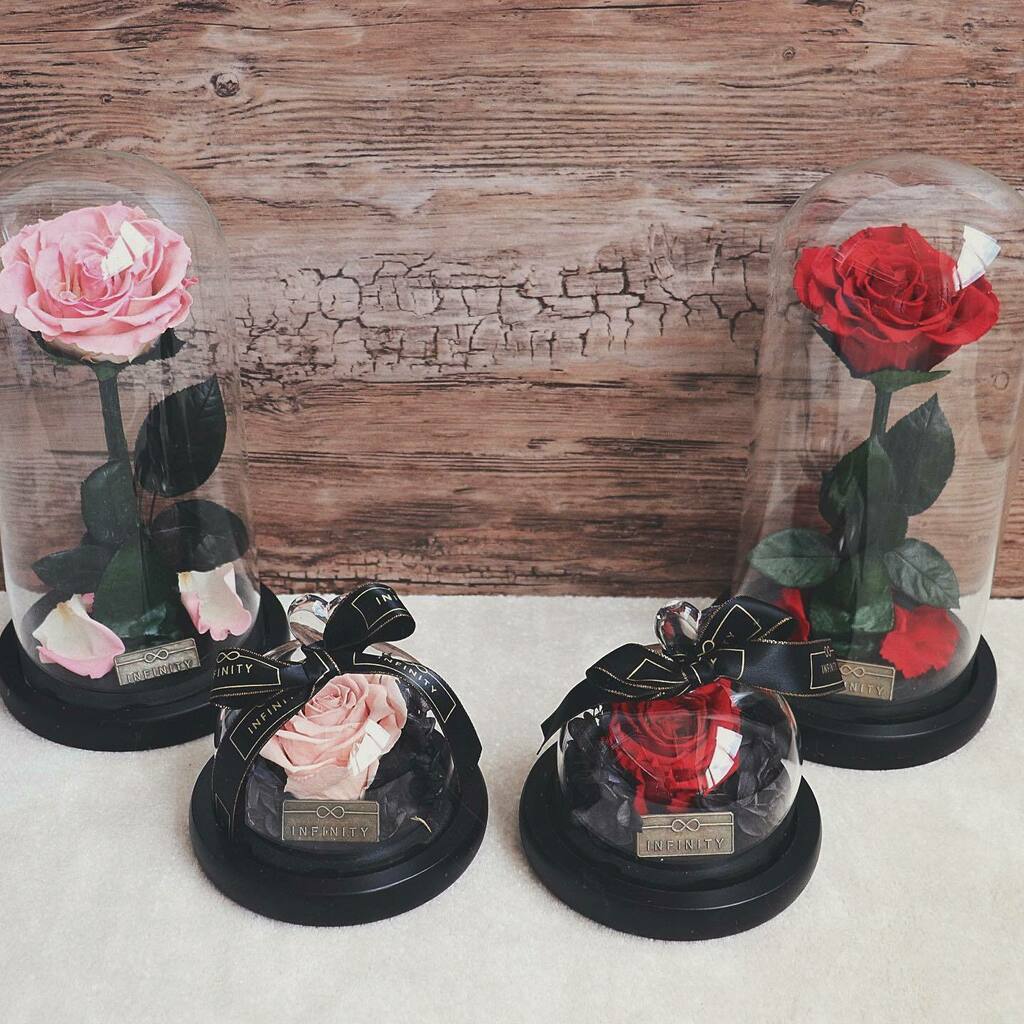 InfinityFlowerB's tweet photo. Rosa gegen Rot, wer gewinnt? 💗❤️ #teamrosa #teamrot https://t.co/IZUzOJNoi7