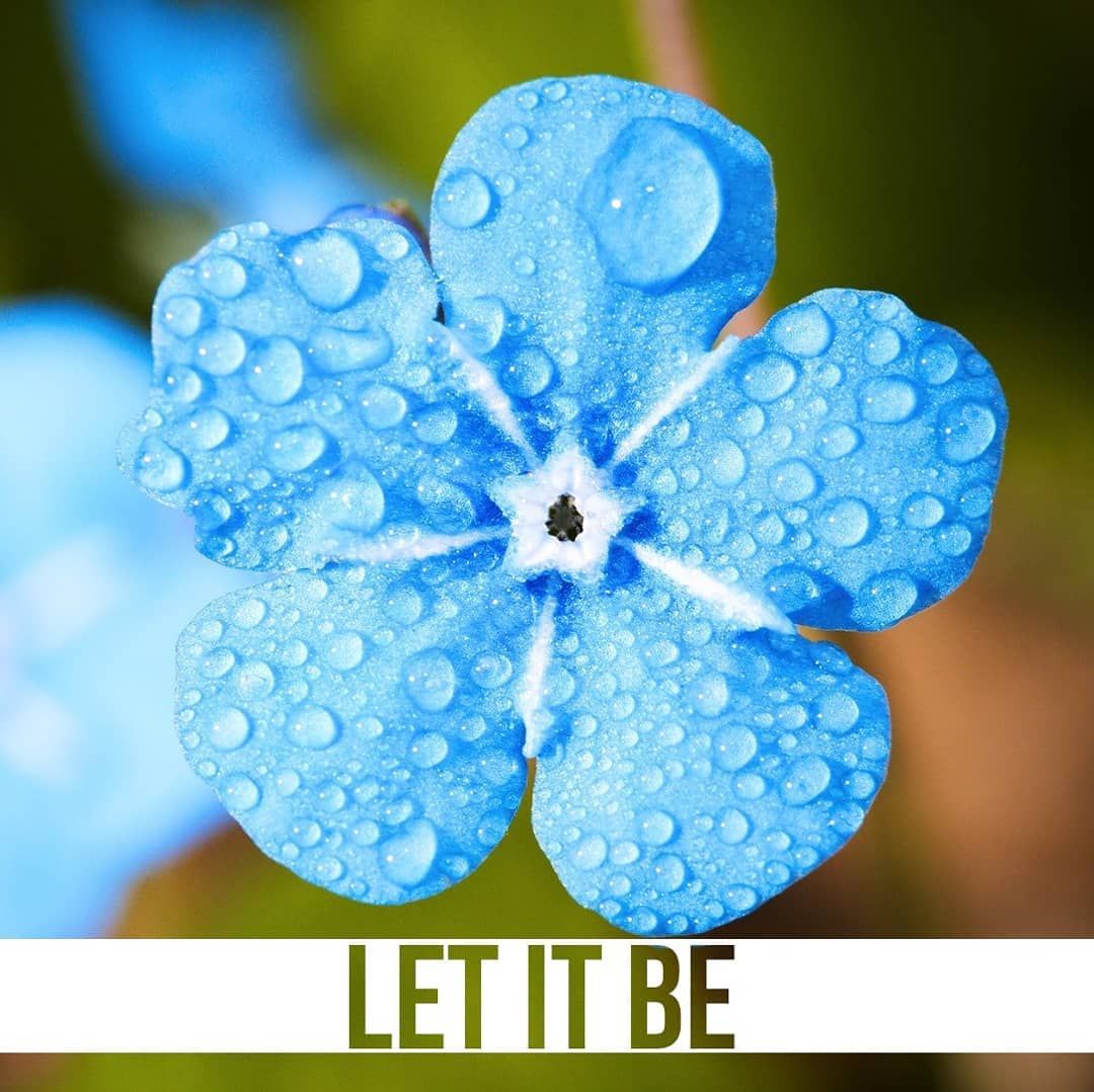 Güzel düşünüp güzeli ummak vakti. İyi şeyler olsun diye.
#ThePanoramaHill #kuşadası
Time to think and hope beautiful things and let it be.