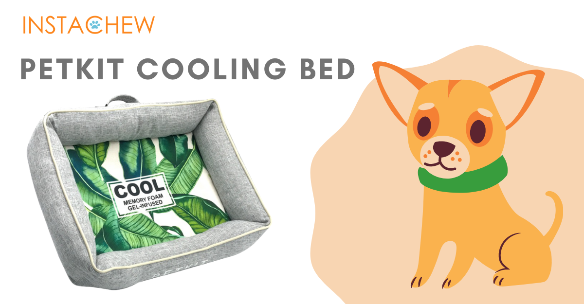 Instachew's tweet photo. Ever wanted your pet to relax in a cooling, memory-foam bed? Then get the PETKIT Cooling Bed now! This bed is designed for your pet's relaxation - grab it here today! https://t.co/hqrADzqVbz
#instachew #smartpetproducts #smartpetfeeder #deepsleepbed #petcare #petkit #petshop https://t.co/mWe4ZZP8rs
