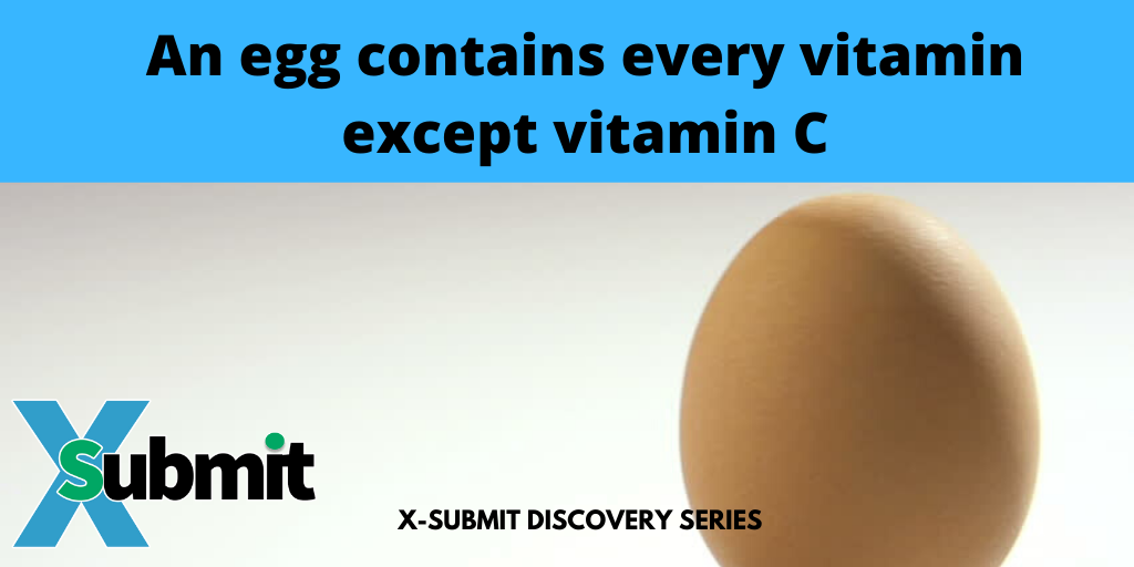 xsubmitInc's tweet photo. X-Submit Discovery Series
You may like eggs for their delicious and tasty nature but did you know it is also packed with vitamins and other nutrients? https://t.co/hkLAF7UM9W