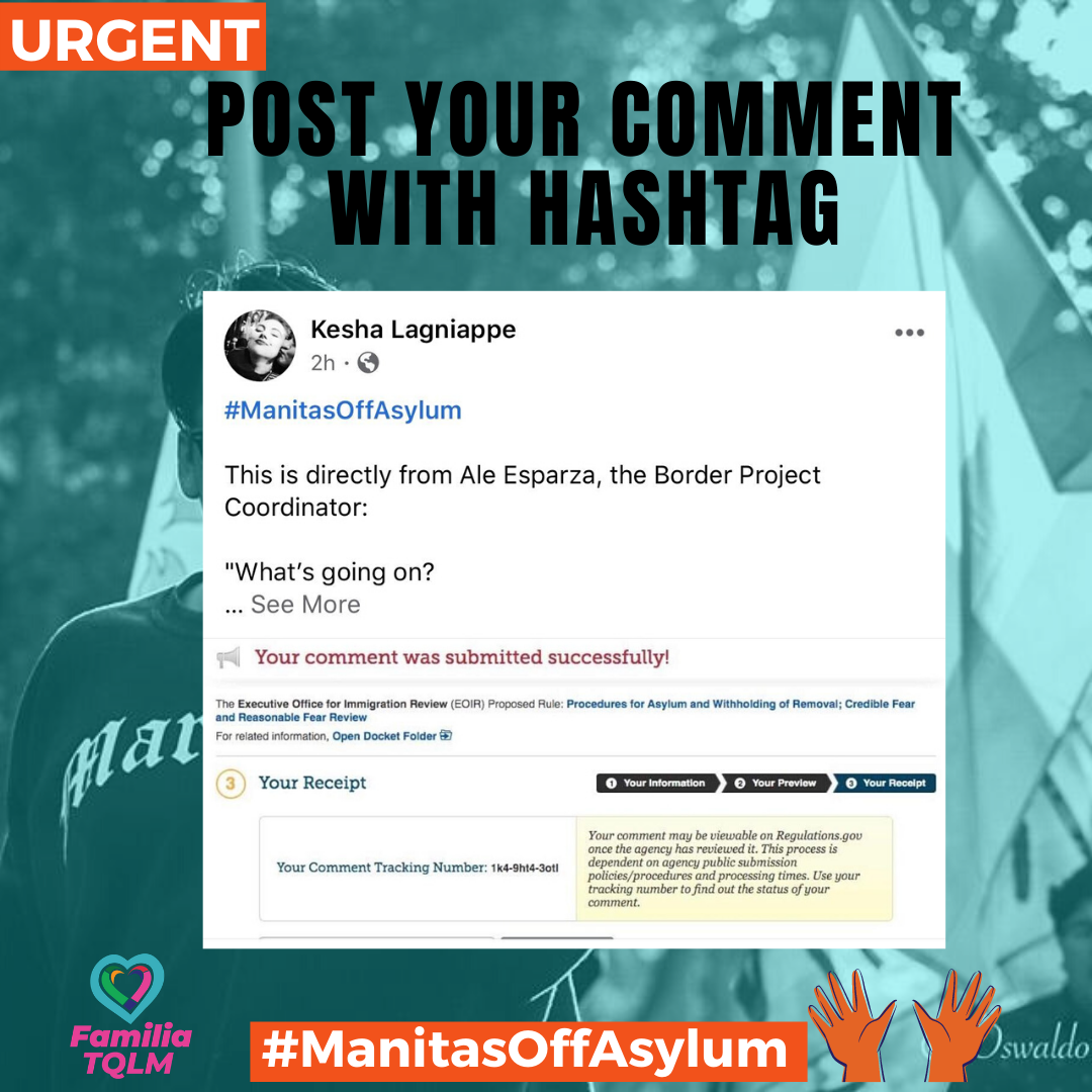 We need to flood the gov with comments to slow down this attack. Please submit a comment opposing Trump’s chingaderas.Link to template comment:  http://bit.ly/handsoffasylum Link to place to submit comments:  http://bit.ly/submitcomment1  #ManitasOffAsylum