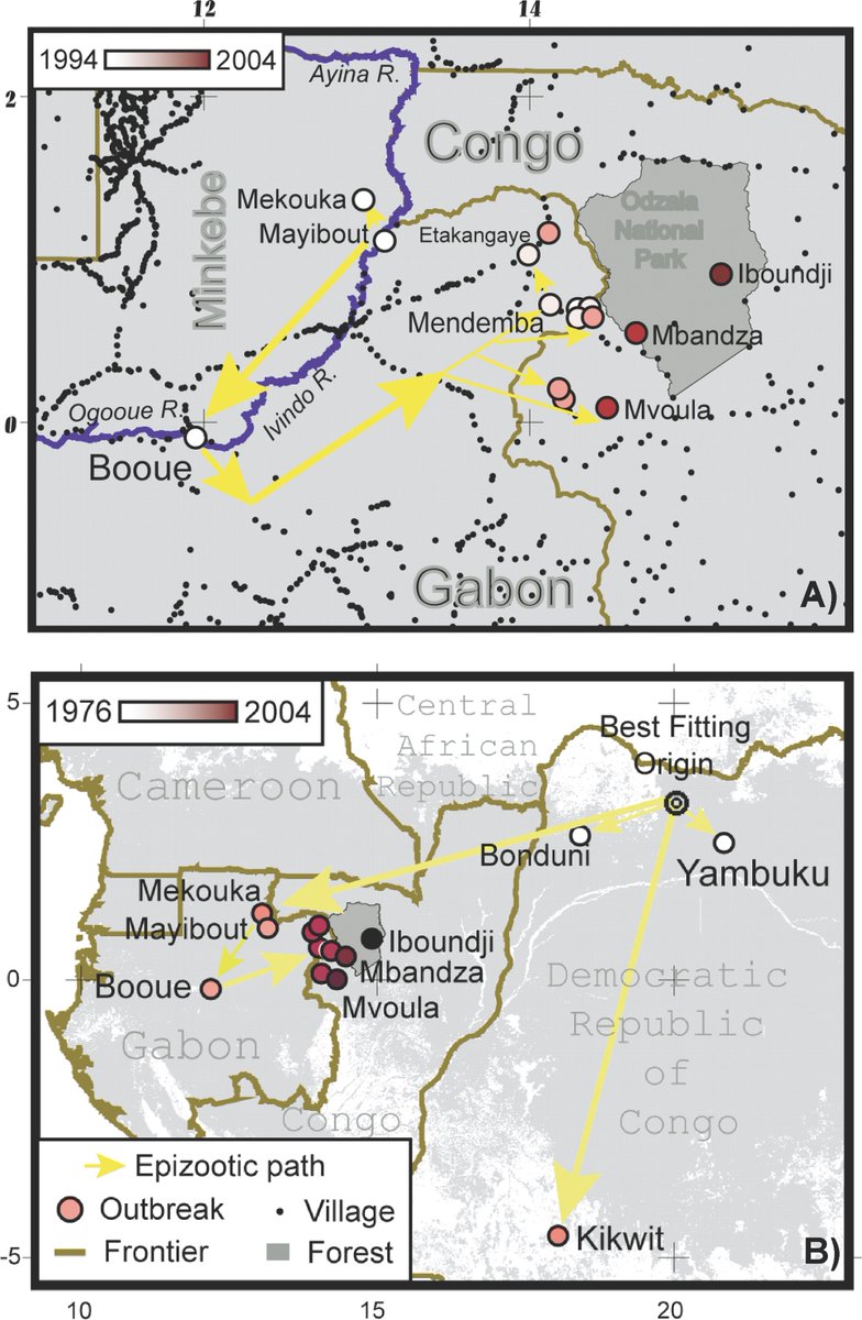 animal infections and the next human pandemic animal infections and the next human pandemic