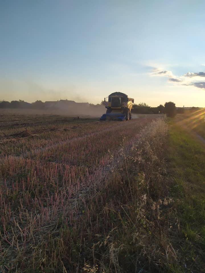 Quinoa d'Anjou tweet media