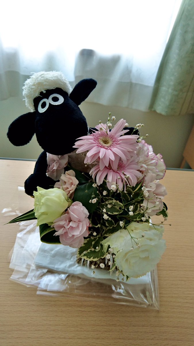 zatch404's tweet photo. #zqePics 
「私達が見たものを」
&amp;石井 美穂
（1969.07.15-2019.01.04） https://t.co/S3yoLc1ucN