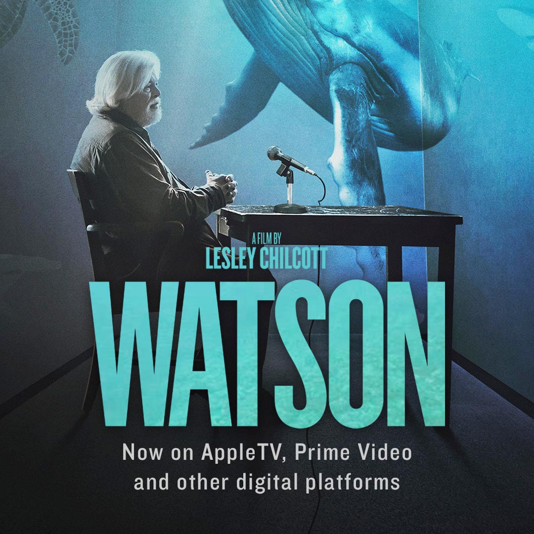 CaptPaulWatson's tweet photo. WATSON GOES DIGITAL #WatsonDoc https://t.co/UYKgl2pKlp https://t.co/uNHpcJEDS1
