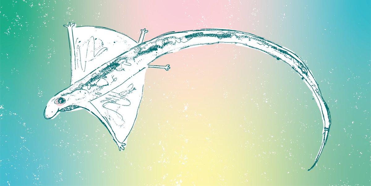 Laura_coppolaro's tweet photo. A flying lizard flitting through the trees on the beautiful little island of Koh Rong Samloem in Cambodia ๐ฆ
โ
#illustration #childrensillustration #backpacking #travelart #backpackingasia https://t.co/wSGgmoplNT