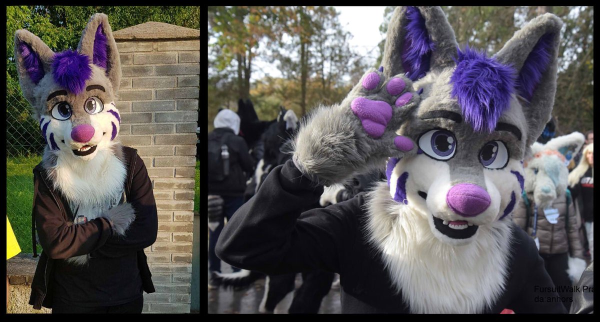 Fursuit partial commission for Foxien. It was completed in June 2019
Second photo is taken by AnHorse_cz at Fursuit Halloween Prague
