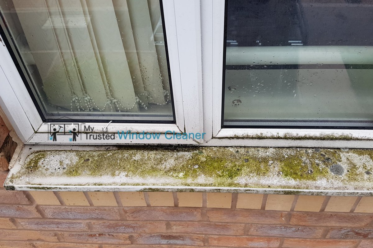 TrustedWindow tweet picture