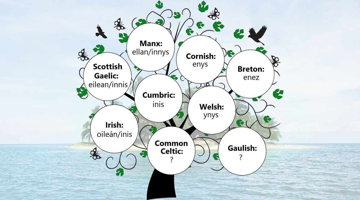 🏝️ The word for 'island' in various Celtic languages:

Breton: enez
Cornish: enys
Cumbric: inis
Irish: oileán/inis
Manx: ellan/innys
Scottish Gaelic: eilean/innis
Welsh: ynys
