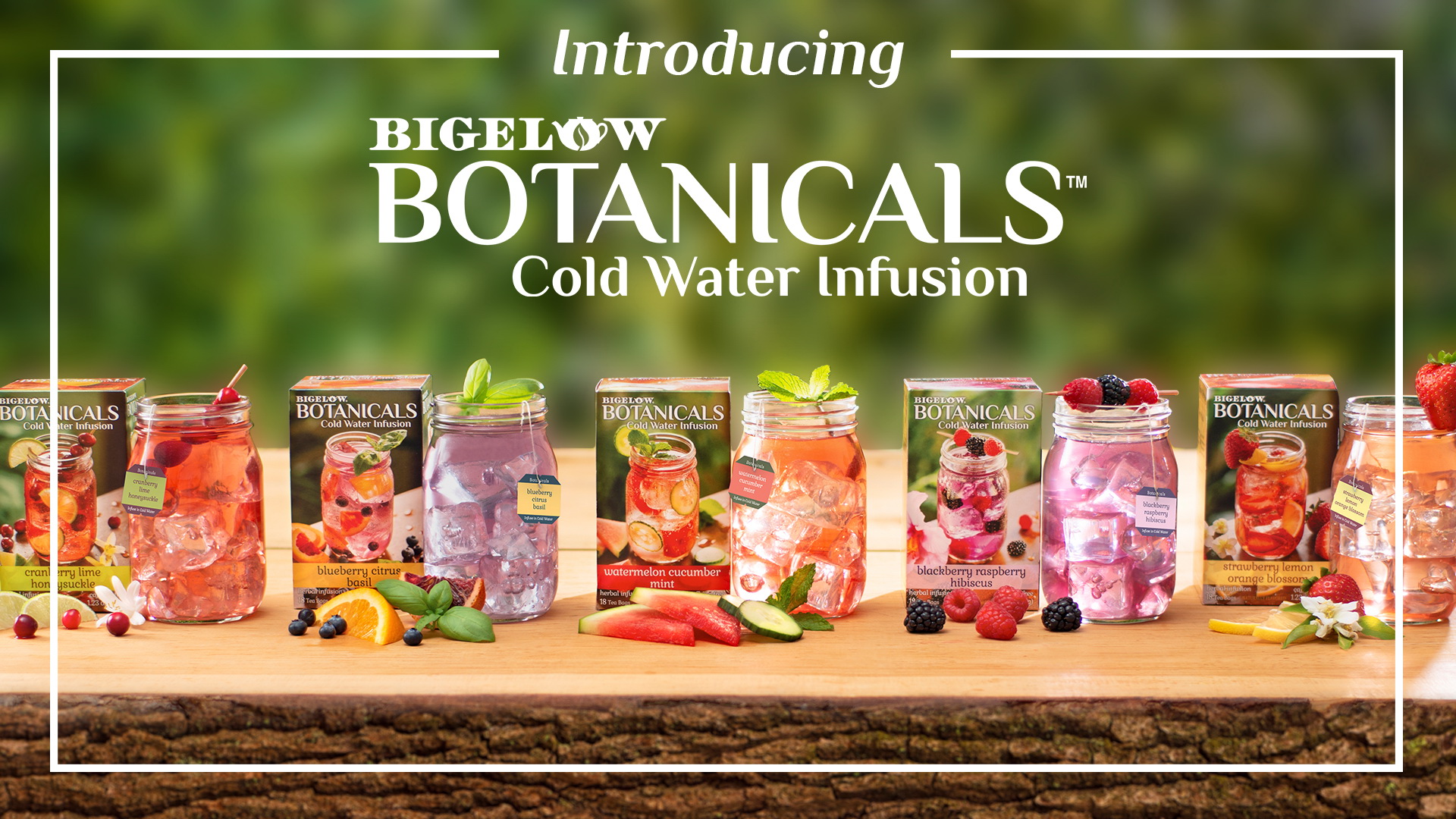 Bigelow Tea launches 2 Botanical Cold Water Infusions