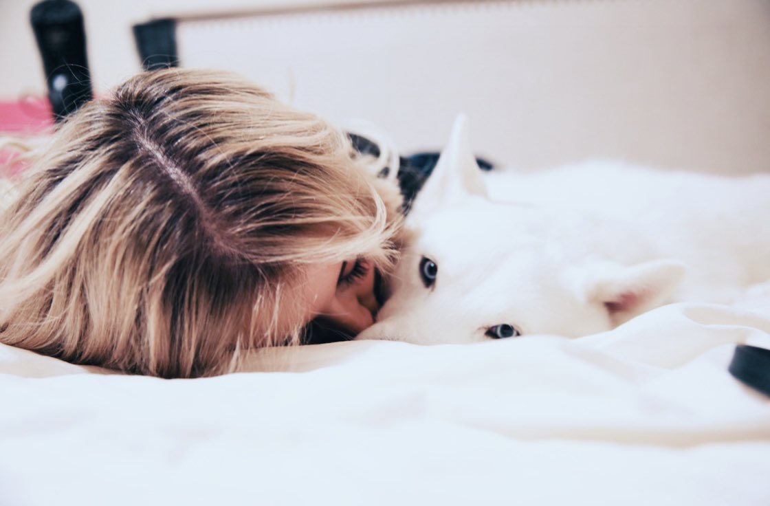 kirstin's tweet photo. 6 years 🥺❤️
happy birthday olaf, love your biggest fan and fur mamaaaa who is crying while writing this post bc she loves u so much ��� https://t.co/oDoUPz0jdf