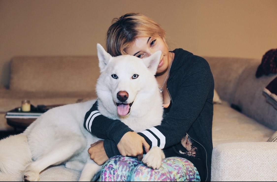 kirstin's tweet photo. 6 years 🥺❤️
happy birthday olaf, love your biggest fan and fur mamaaaa who is crying while writing this post bc she loves u so much ��� https://t.co/oDoUPz0jdf