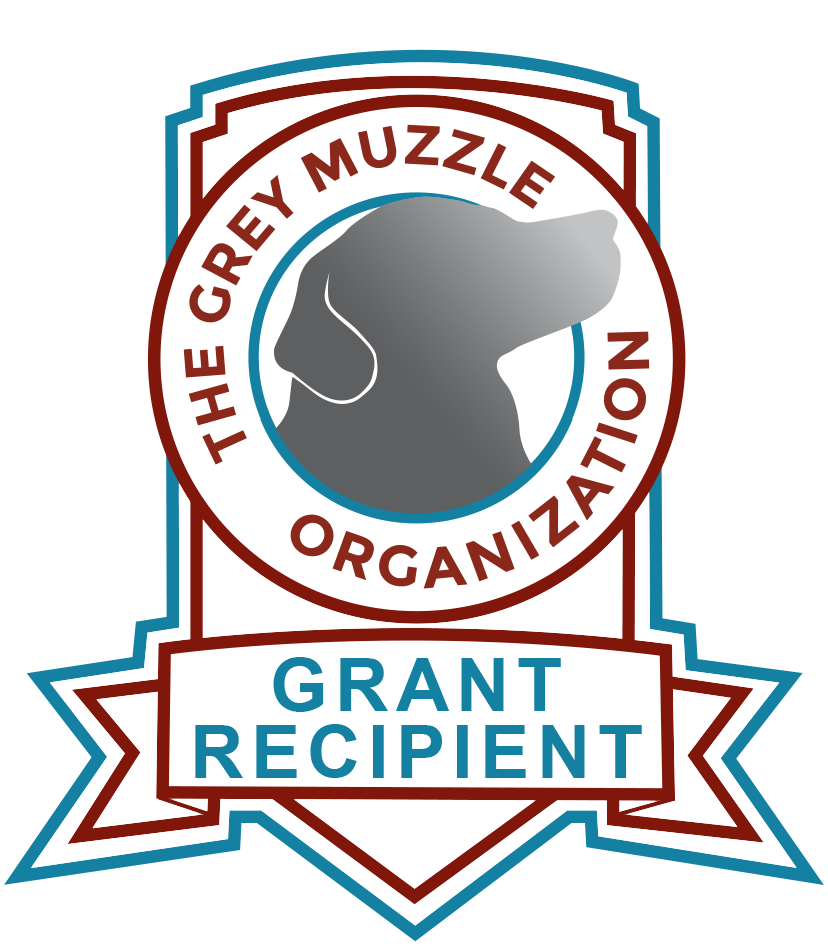 cthumane's tweet image. Senior pups have a reason to wag: @GreyMuzzleOrg has chosen #CThumane as 1 of 64 animal welfare groups among 288 applicants across the country for a grant for medical treatment of senior pets from animal control! That means pups will get support for surgeries, medicine &amp;amp; more!