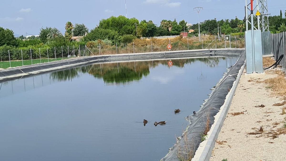 iservia's tweet photo. 2° dia de ruta. #waterfriends @iagua
Hoy los amigos de @HidrocontaSA me han acompañado a visitar la CCRR el Ceutí.
Como la telegestión puede ayudar a la gestión del agua procedente de terciario EDAR. Apunta a post. 🤔
Para entender el regadio ESP, hay q visitar #Murcia https://t.co/A1l0DsrIMn