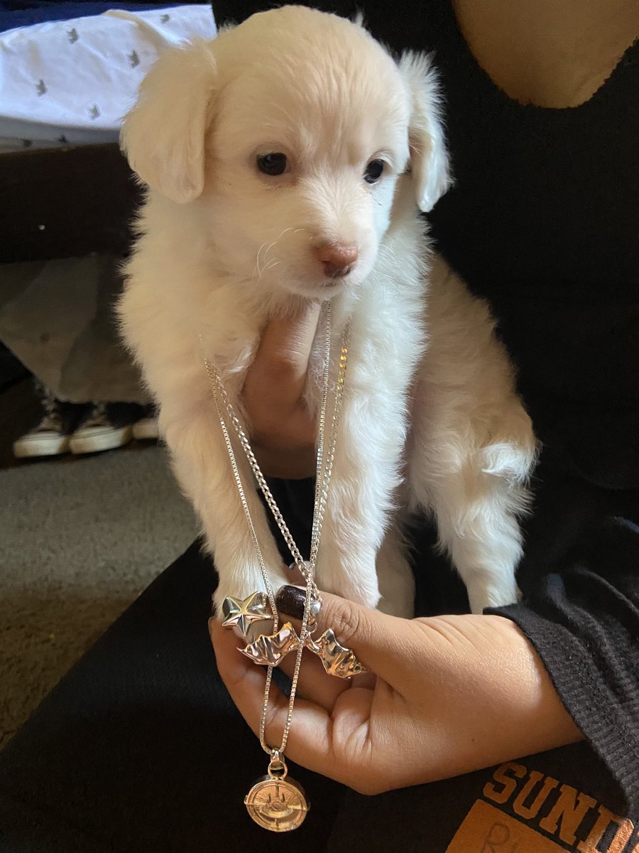 gory 🪰🪳 tweet media