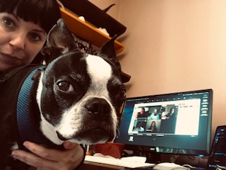 Walter pup on staff backstage support for the COVID panel #DrupalConPhoto #DrupalConGlobal <a href="/drupalassoc/">Drupal Association</a>