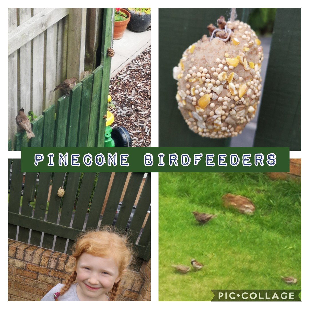 Claremamab83's tweet photo. @EgpaFs2 Despite a full week at school Emi was desperate to make these birdfeeders she asked me to buy the bird food and made them completely independently!She has hung 4of them round the garden and has had to refill them twice already.I cant believe how many birds we have had!🐦 https://t.co/opyoM8BKTj