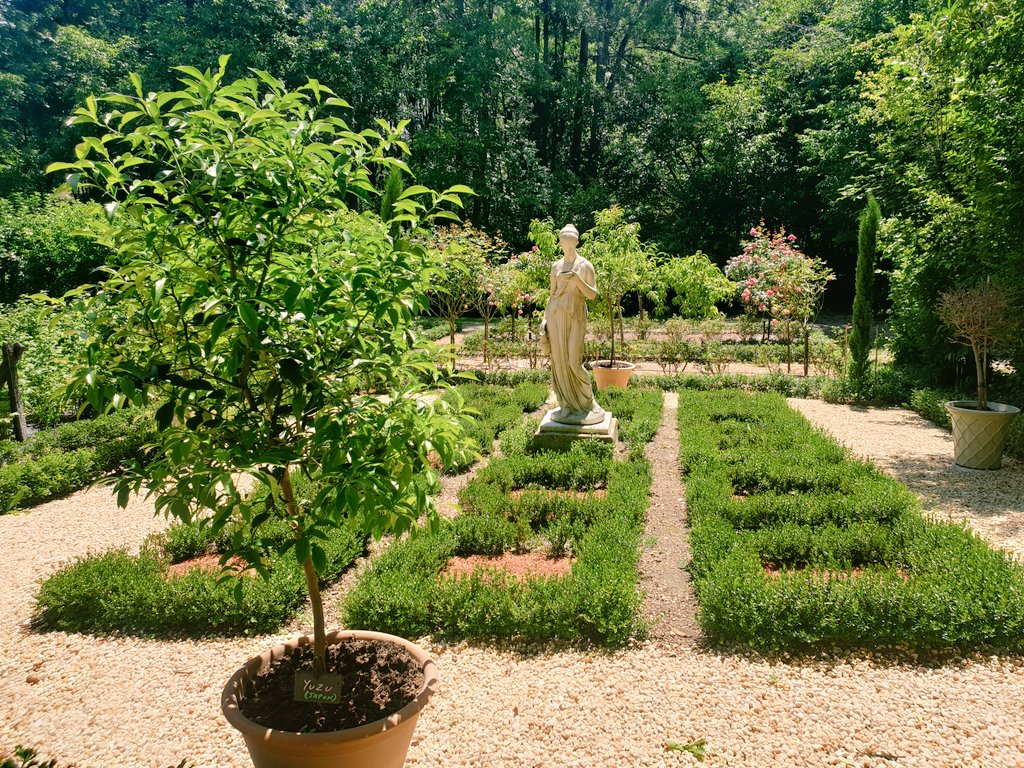 GaillardRoyal's tweet photo. Bienvenue au paradis

#domPacelloDeMercogliano
#CharlesVIII
#jardin #CetÉtéJeVisiteLaFrance 
#Amboise #château #jmlevaldeloire
#vénus https://t.co/vB4CnnVT28