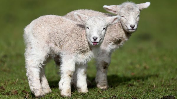 MaskUp46403120's tweet photo. @FreeAmerica__ @imjustmeTBD @CNN https://t.co/MXREqwKW1N