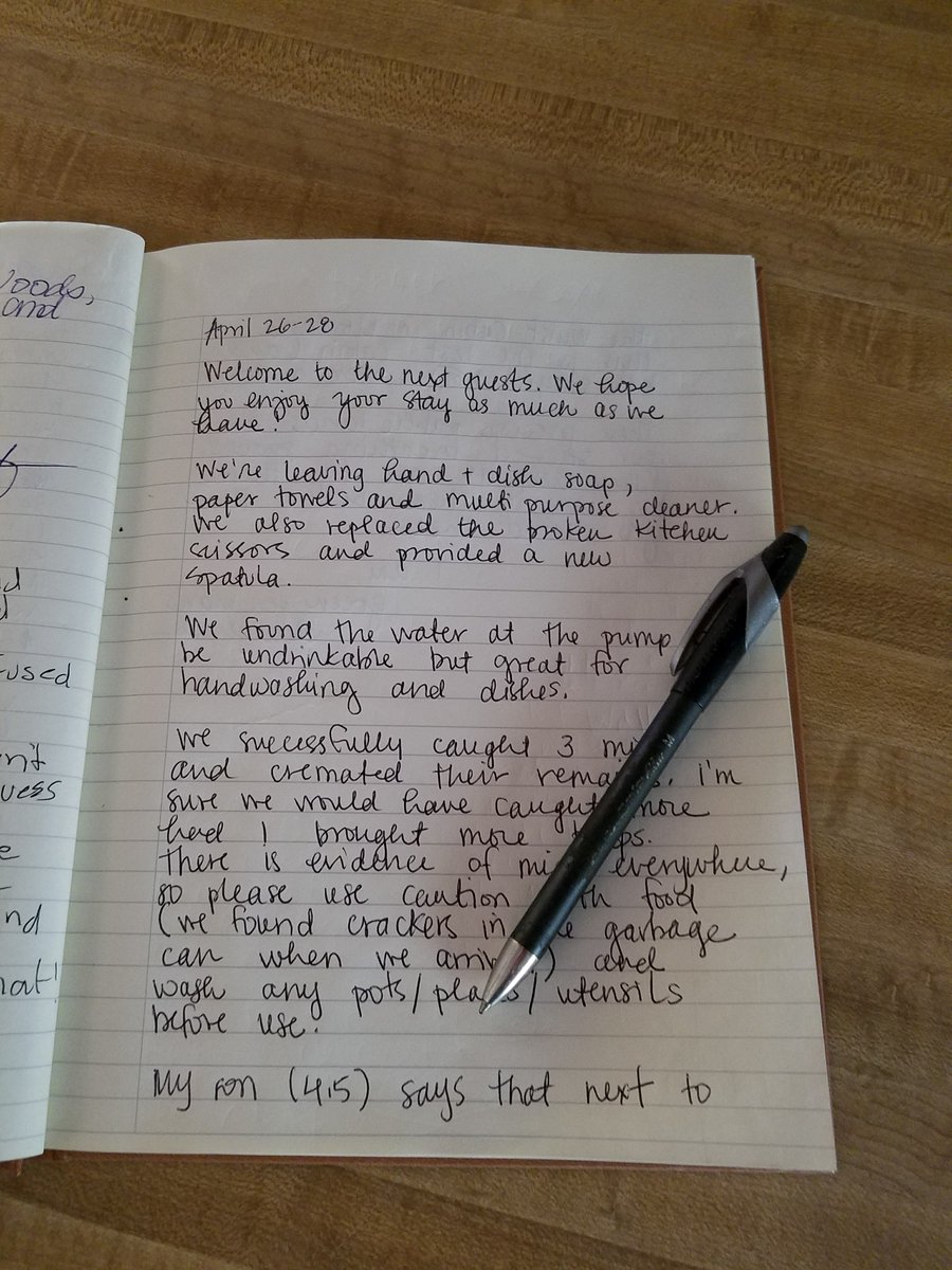 I have read in some guest journal entries that they are  by the presence of evidence of mice or other rodents. But if you were a mouse in a NF and could live in a cozy cabin wouldn't you? Just be prepared and make sure you don't leave ANY food crumbs when you go. 12/x