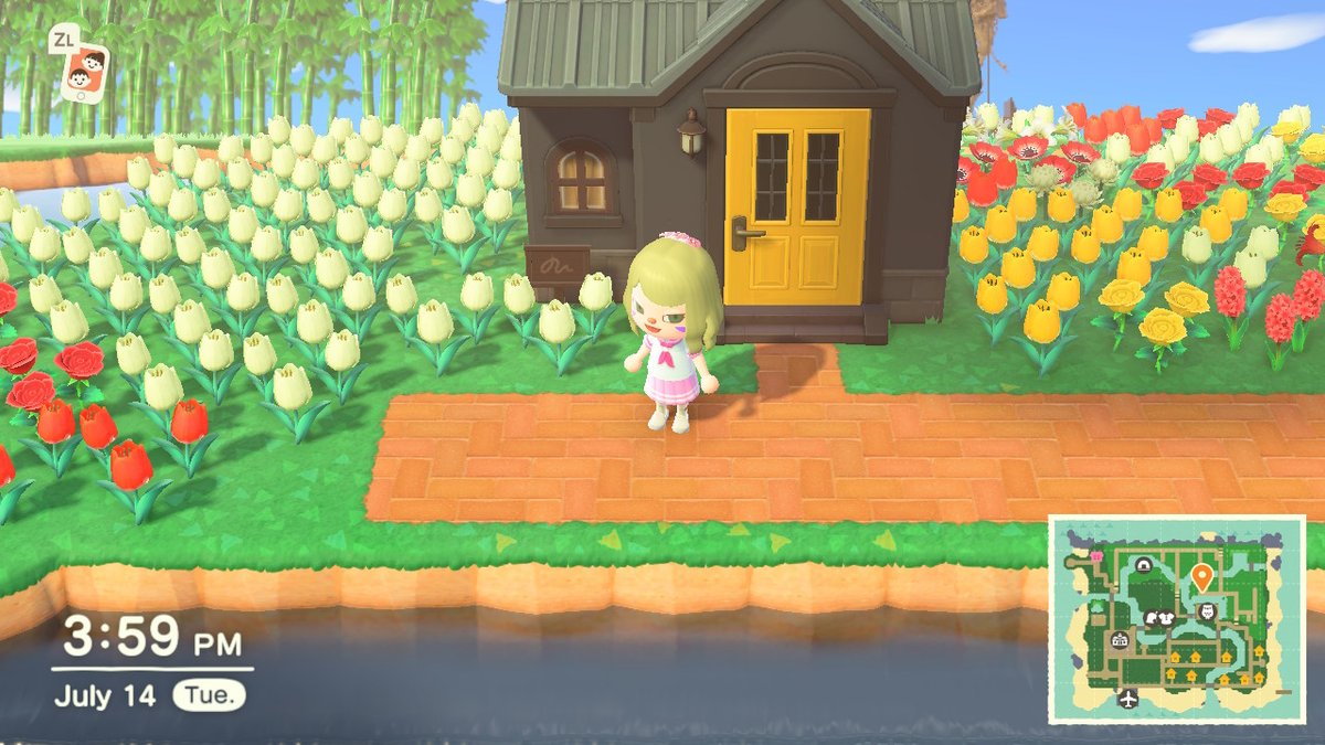 Peachaurri's tweet photo. bruh #AnimalCrossing #ACNH #NintendoSwitch https://t.co/2jjt954j4N