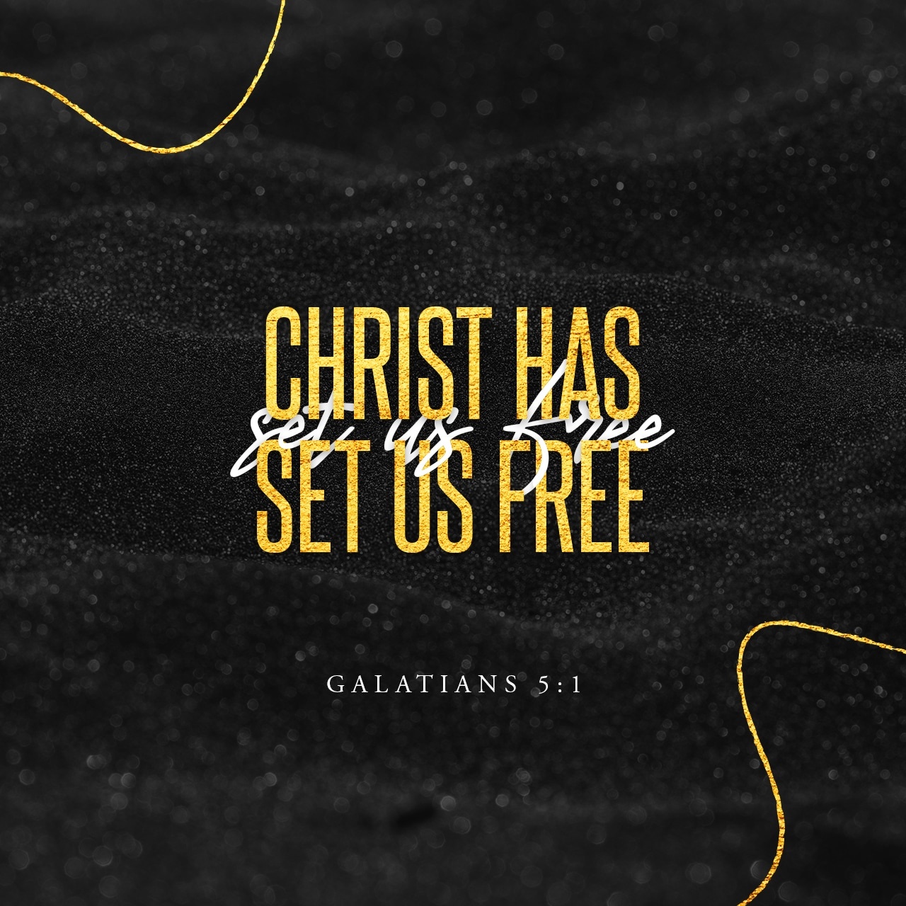 Scriptures in Pictures cover image