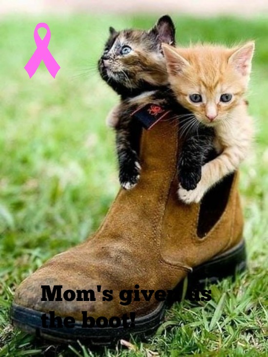 kittyguy77's tweet image. Sorry been absent but this bug!!!!!