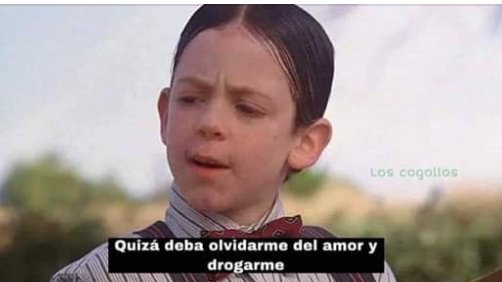 mariaehc_'s tweet photo. Tenei razon alfalfa. https://t.co/vpJVOzTasH