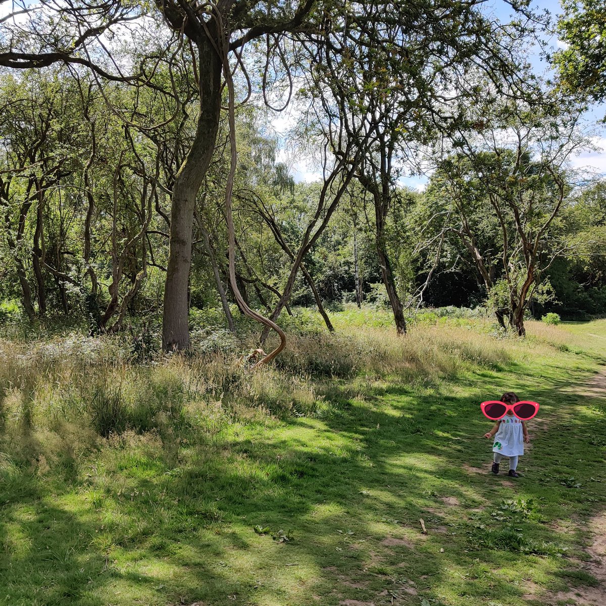 Rand_Ash's tweet photo. We explored a magical trail this last weekend, and found lots of new butterflies!
#explorelocal #adventuresinlockdown #butterflies #maidenhead https://t.co/AgMZB8DXjr
