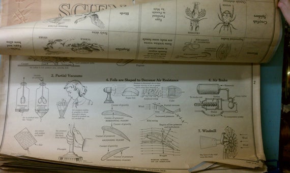 FairOaksAntique's tweet image. One Of A Kind 18 Page Vintage Science Chart etsy.me/2AXlF8v # #pulldownmap #wallchart #sciencecharts #biologychart #botonychart