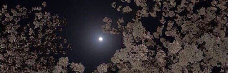 i5_r5's tweet photo. تحت رمشك ليل وبعينك ضيّا قمره . https://t.co/F5muye9lGZ