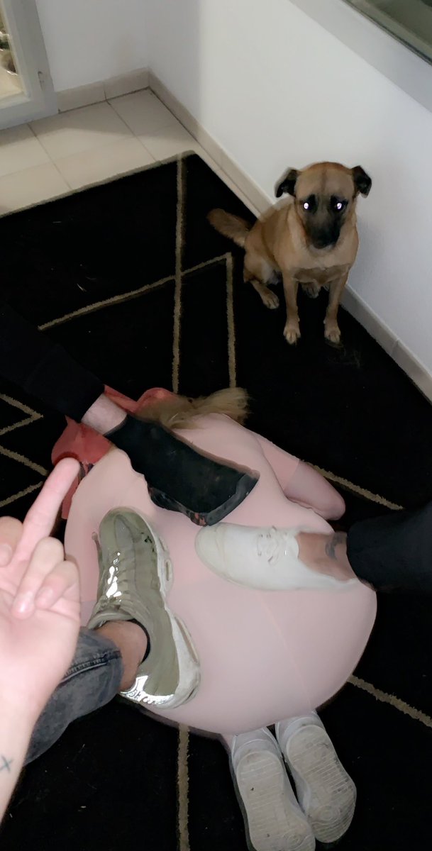 ArisMaitre's tweet photo. Petite séance à Toulouse avec @MaitreBen3 @Alex87722178 entre chienne ils ceux comprennent. 😈🤴🏻🖕🏼🦶🏼 #Slave #Findom #Domination #Humiliation #Paypig #Cashmaster #Soumis #Dominant #Findom #Feet #Cashslave #moneyslave #Bdsm #Cashmeet #Slavering #soumission https://t.co/pyRFj8XnTJ