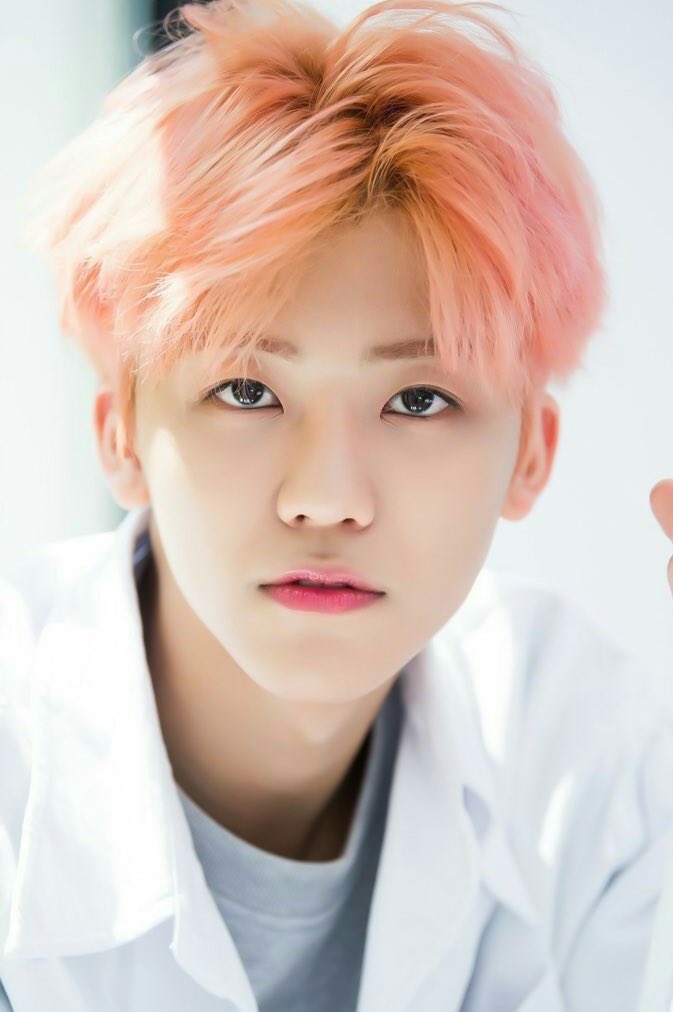 NCTDR7's tweet photo. 𝗡𝗖𝗧 𝗗𝗥𝗘𝗔𝗠〖 𝚠𝚎 𝚐𝚘 𝚞𝚙 〗

𝖬𝗎𝗌𝗂𝖼 𝗋𝖾𝗅𝖾𝖺𝗌𝖾 ➫ 24.07.2020  18:00 HR
𝖠𝗅𝖻𝗎𝗆 𝗋𝖾𝗅𝖾𝖺𝗌𝖾 ➫ 25.07.2020 18:00 HR

#NCTDREAM_Wegoup
#NCTDREAM         #Wegoup
#NCTDREAM_debut
#JAEMIN🍓 #VERSION01 https://t.co/PTvBVPSHUK