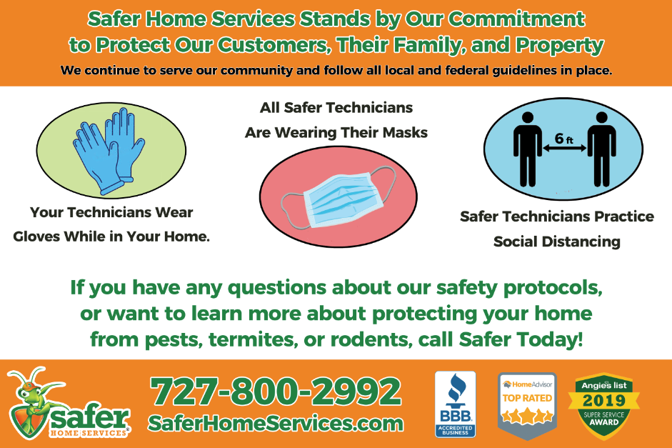 Safer Home Services Office Photos