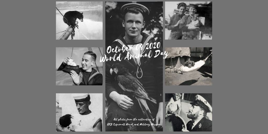 Today is World Animal Day!  This is a small sample of some photos in our archives celebrating the relationship of the Navy and their mascots #RCNavy #mascot #History