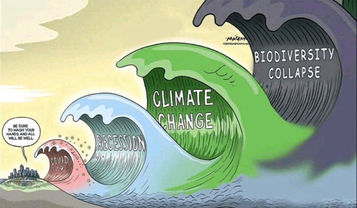 miempresaverde's tweet photo. Si algo nos enseñan las presentes crisis de salud y economía derivadas del #Covid19, es que existe otra crisis que tendrá efectos aún más considerables: la crisis de la sostenibilidad #miempresaverde 🌿🌱🍃 https://t.co/TXHIylo3ft https://t.co/CLqzOLQ28J