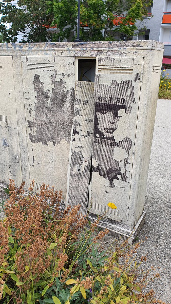 Mickaël MOYEN-PEDONE tweet media