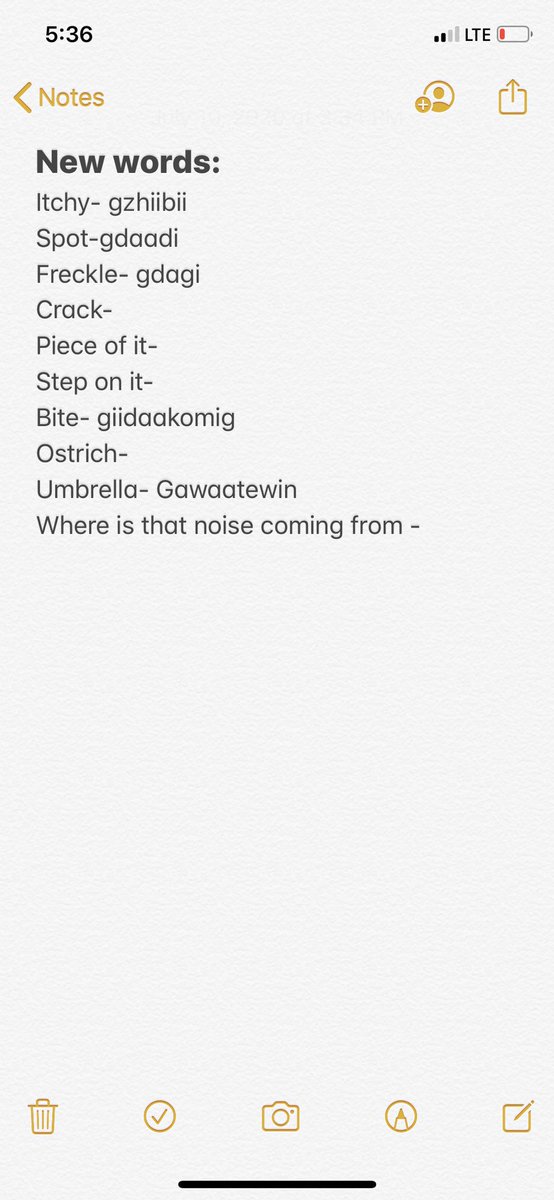 My brain is tired of constantly being in an English environment but having to remain speaking Anishinaabemowin