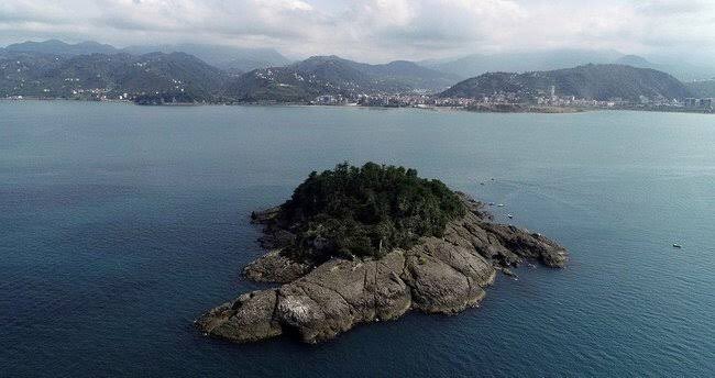 giresun_delisi's tweet photo. #survivor2020 şampiyonu olan Cemal Can’ı tebrik ediyorum fakat asıl Survivor Dominik’teki adadan daha zorlu koşullarda fındık toplayacak olan Giresunlulardır. 🤗 https://t.co/dWoXabLGvB