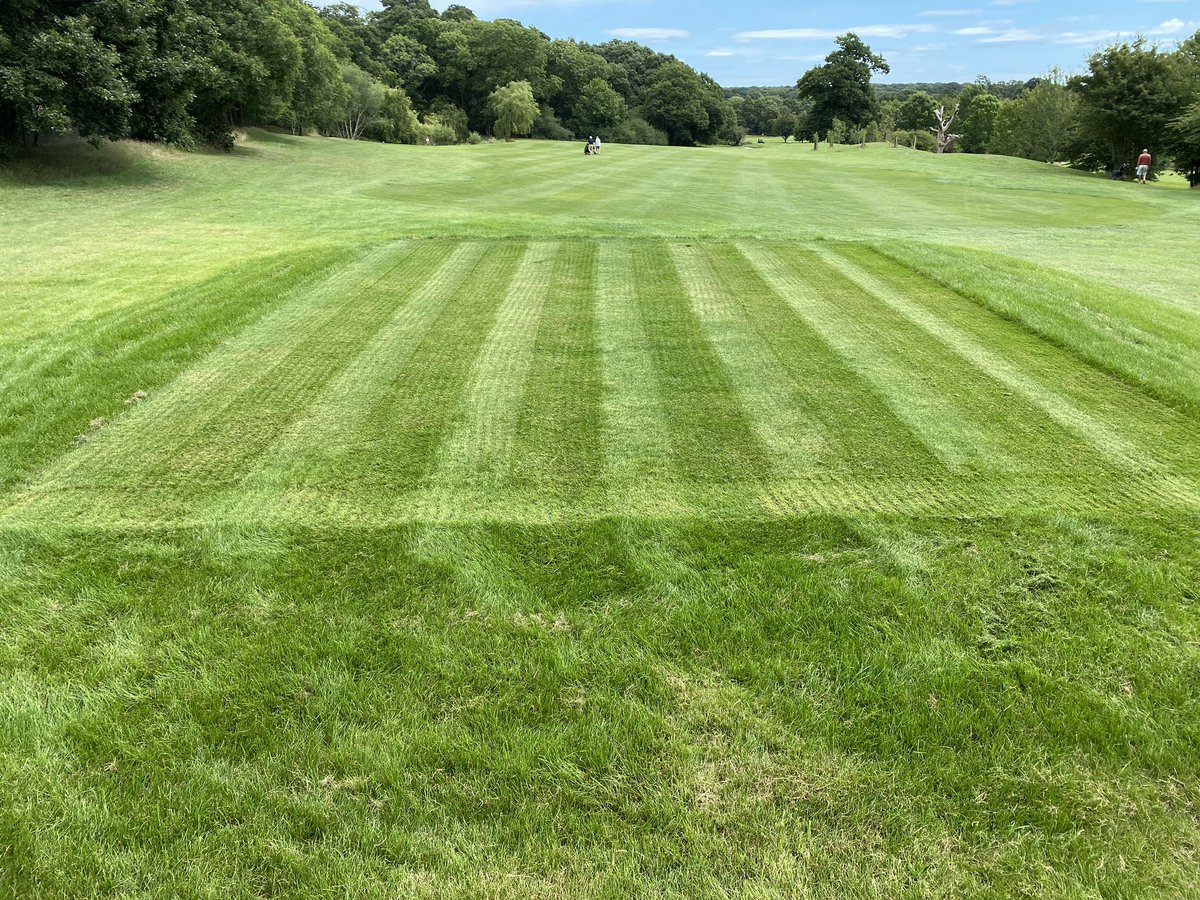 New forward Tees coming on strong. #movingforward #straightlines