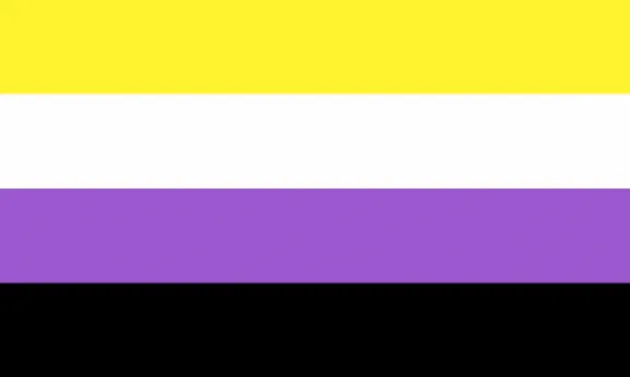 Tomathitos33's tweet photo. Hoje é nosso dia e eu nem sabia omg!!! #NBandProud #verificanb #NonBinaryDay #NonBinaryPeoplesDay !!! https://t.co/H2TycEUk8V